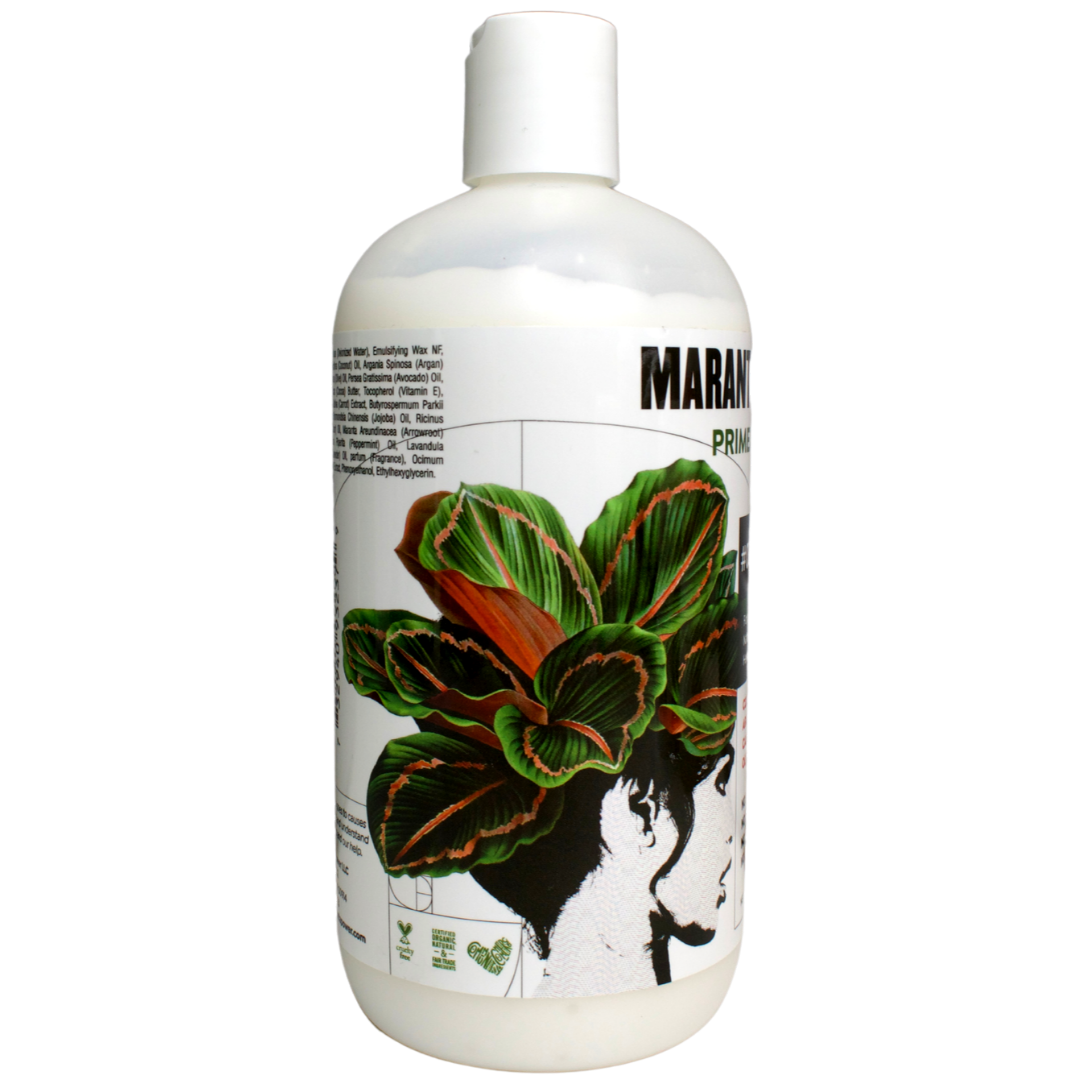 Maranta Power Primer Leave In