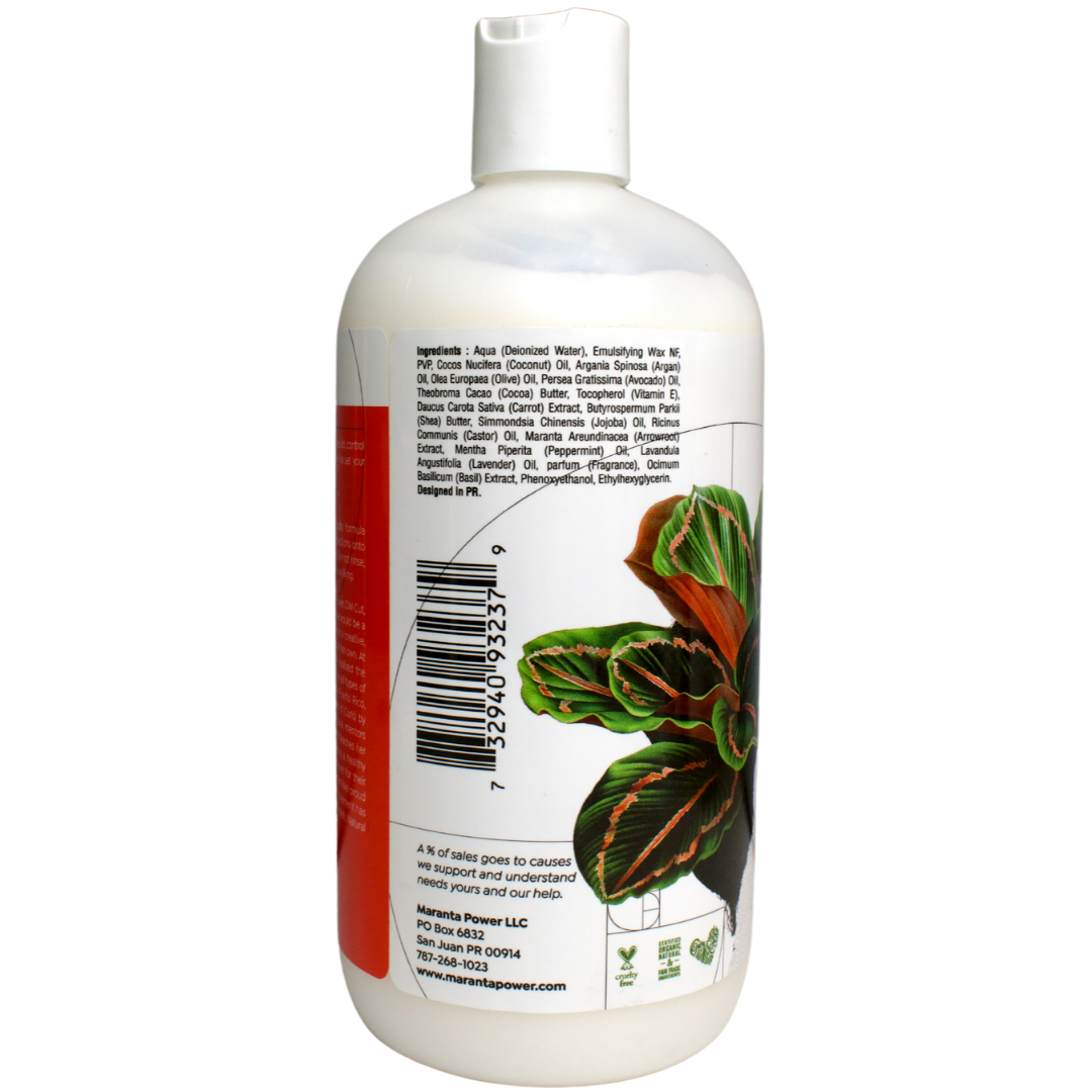 Maranta Power Primer Leave In