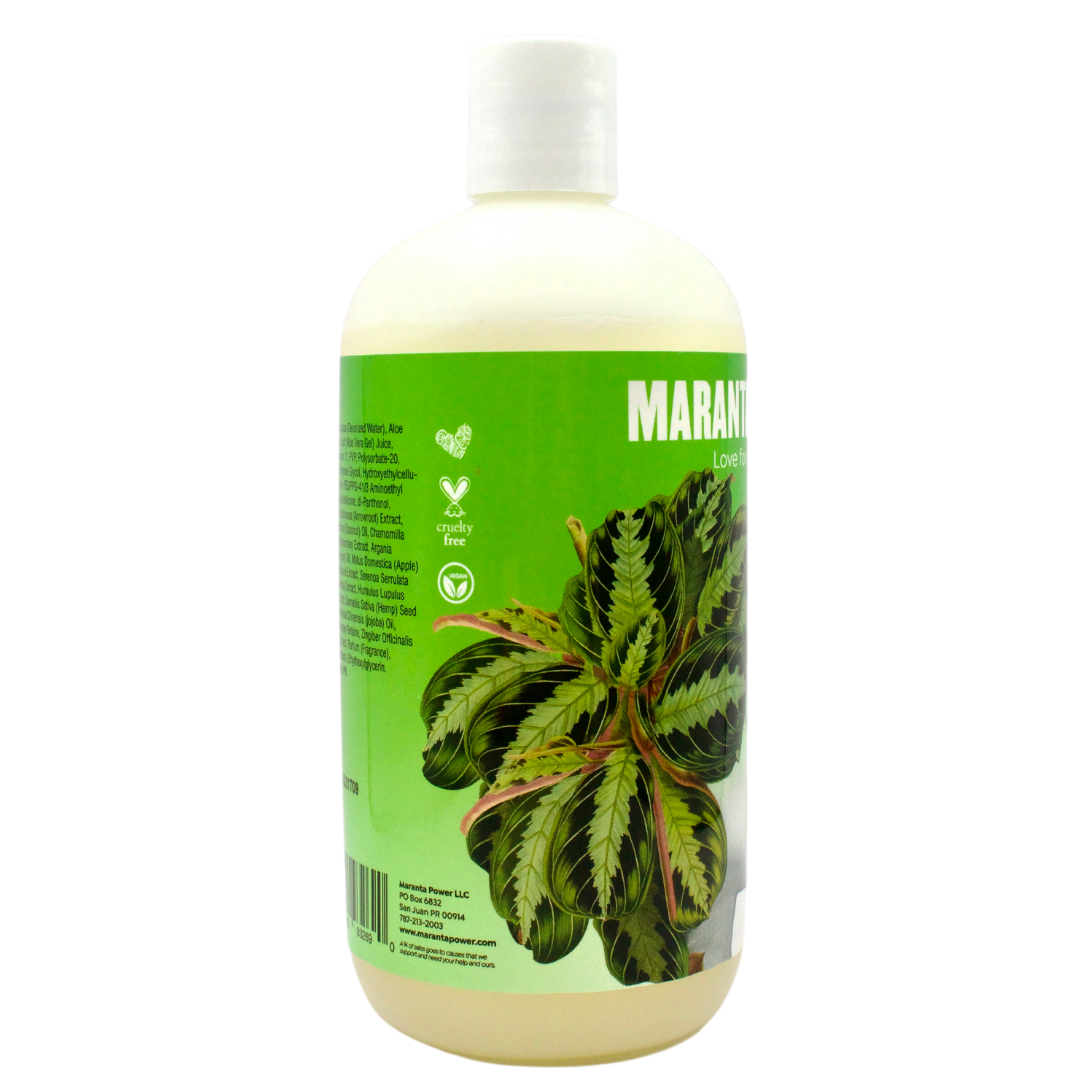 Maranta Power Medium Hold Gel