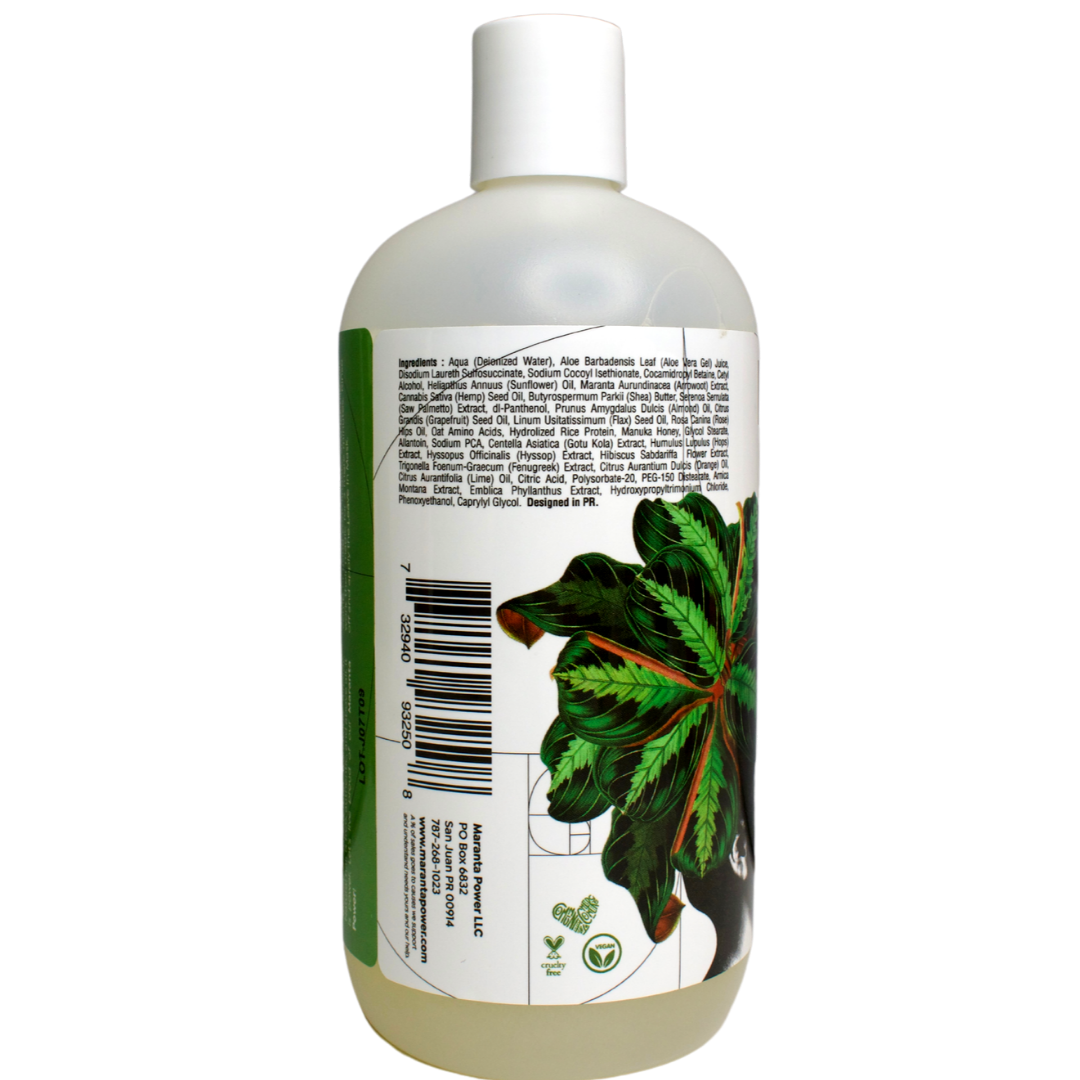 Maranta Power Shampoo