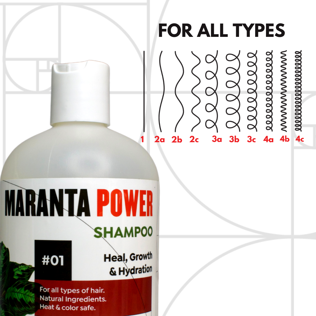 Maranta Power Shampoo