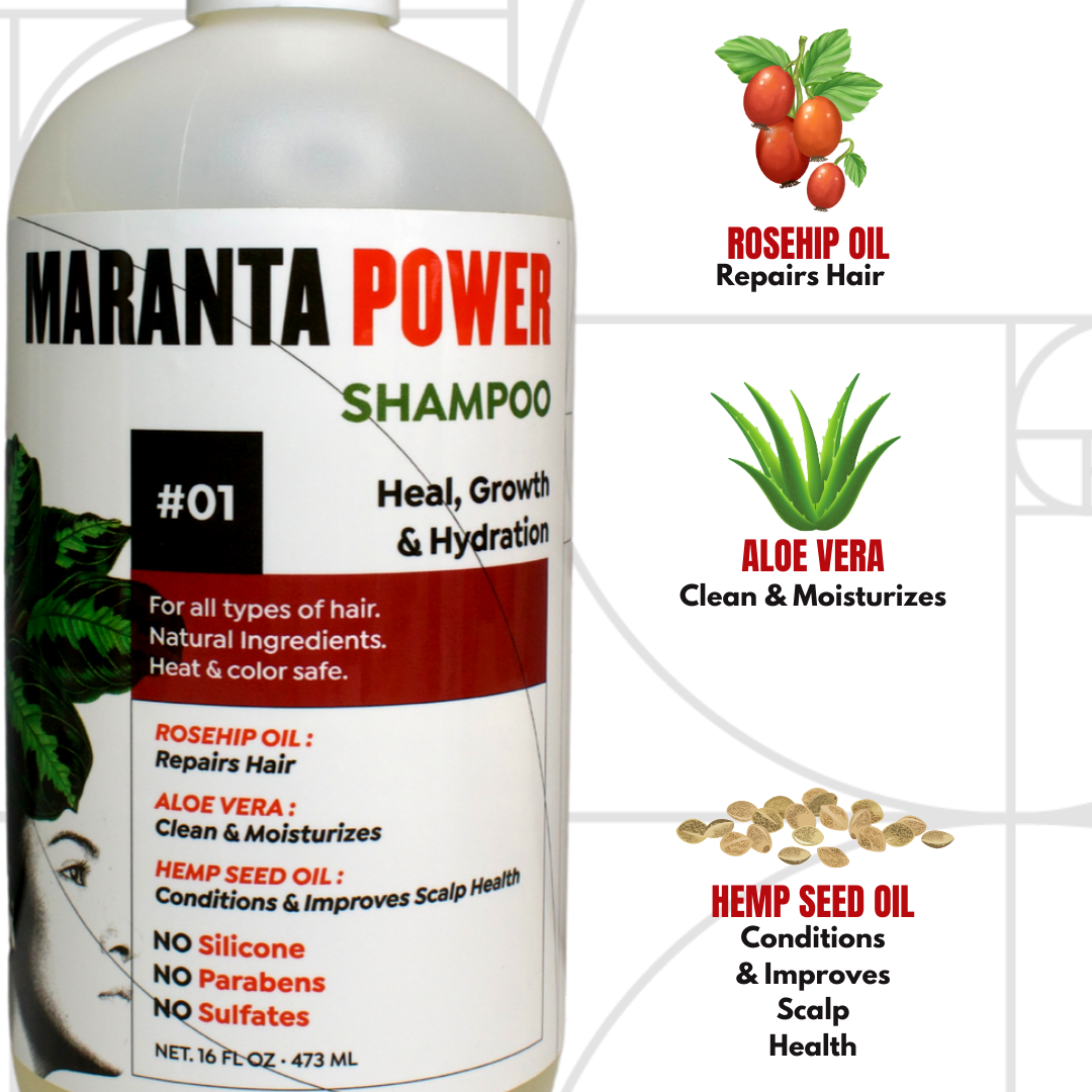 Maranta Power Shampoo