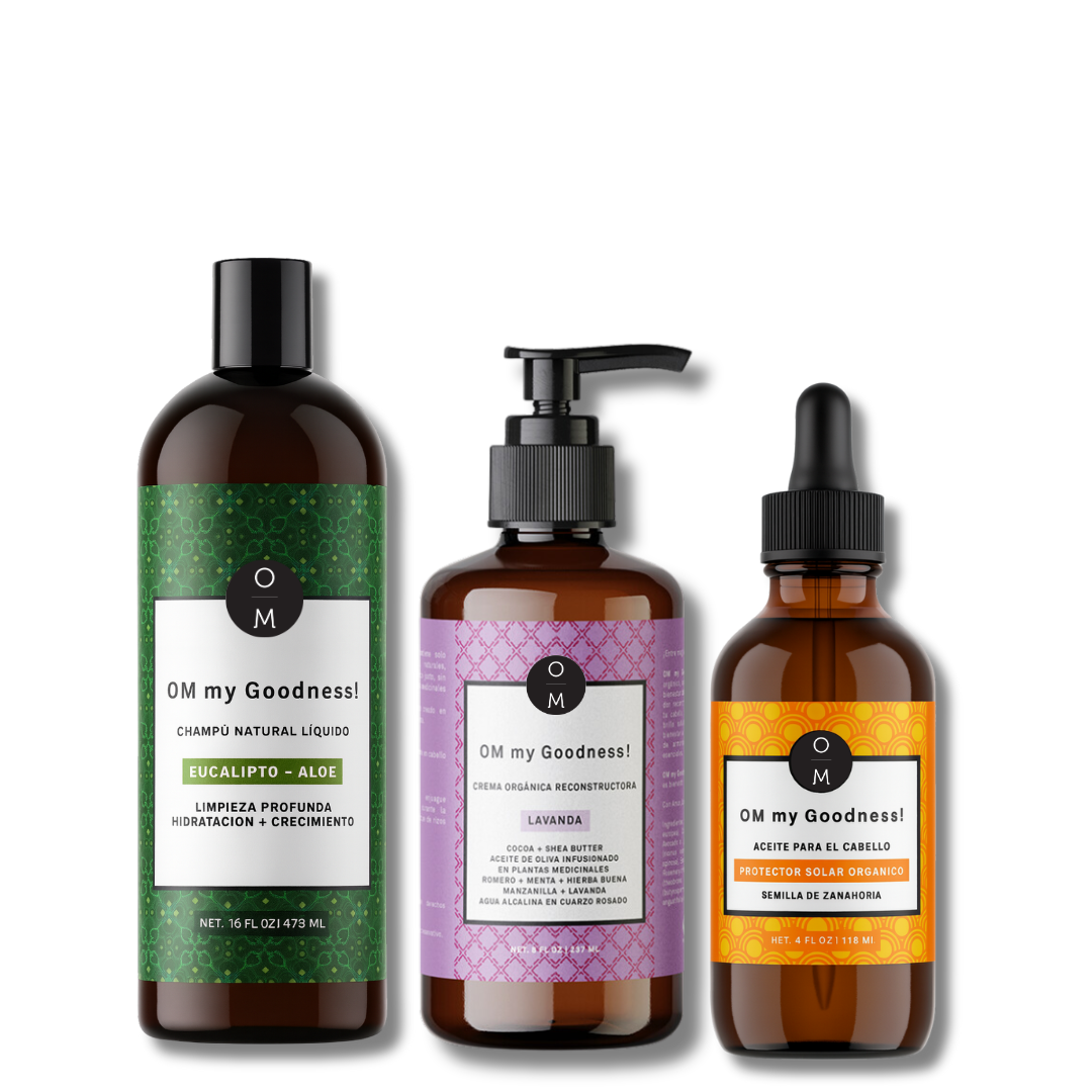 Reconstrucción y Protección