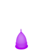 Power Copa Small Purple
